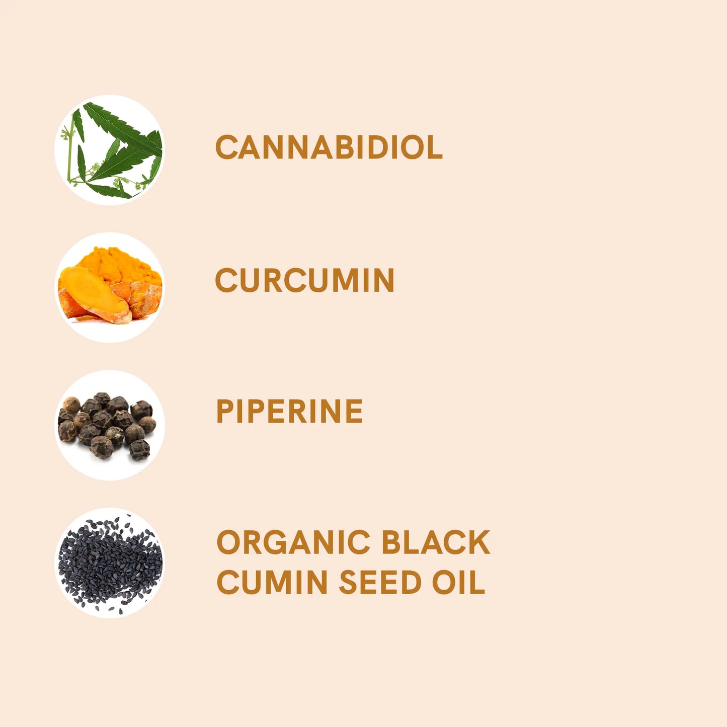 CBD Oil (15%) with Curcumin