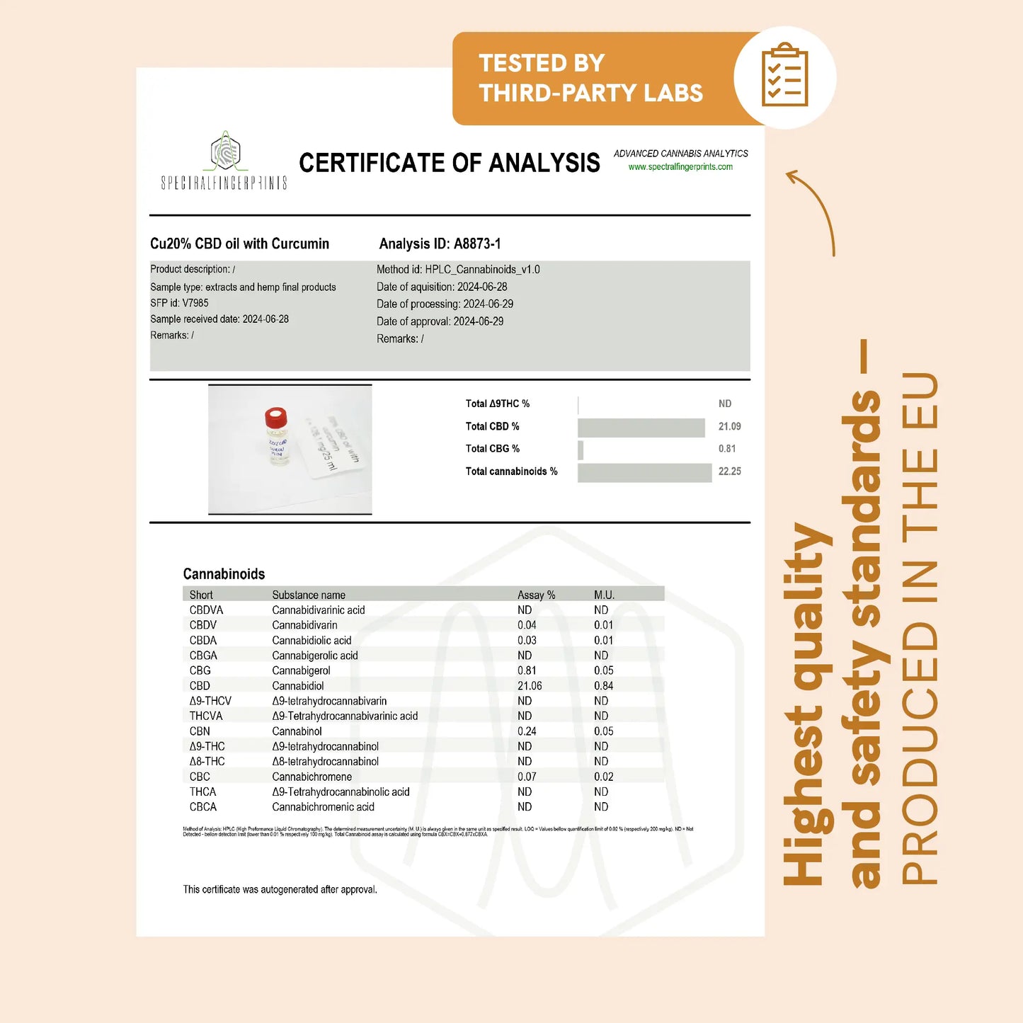 CBD Oil (20%) with Curcumin