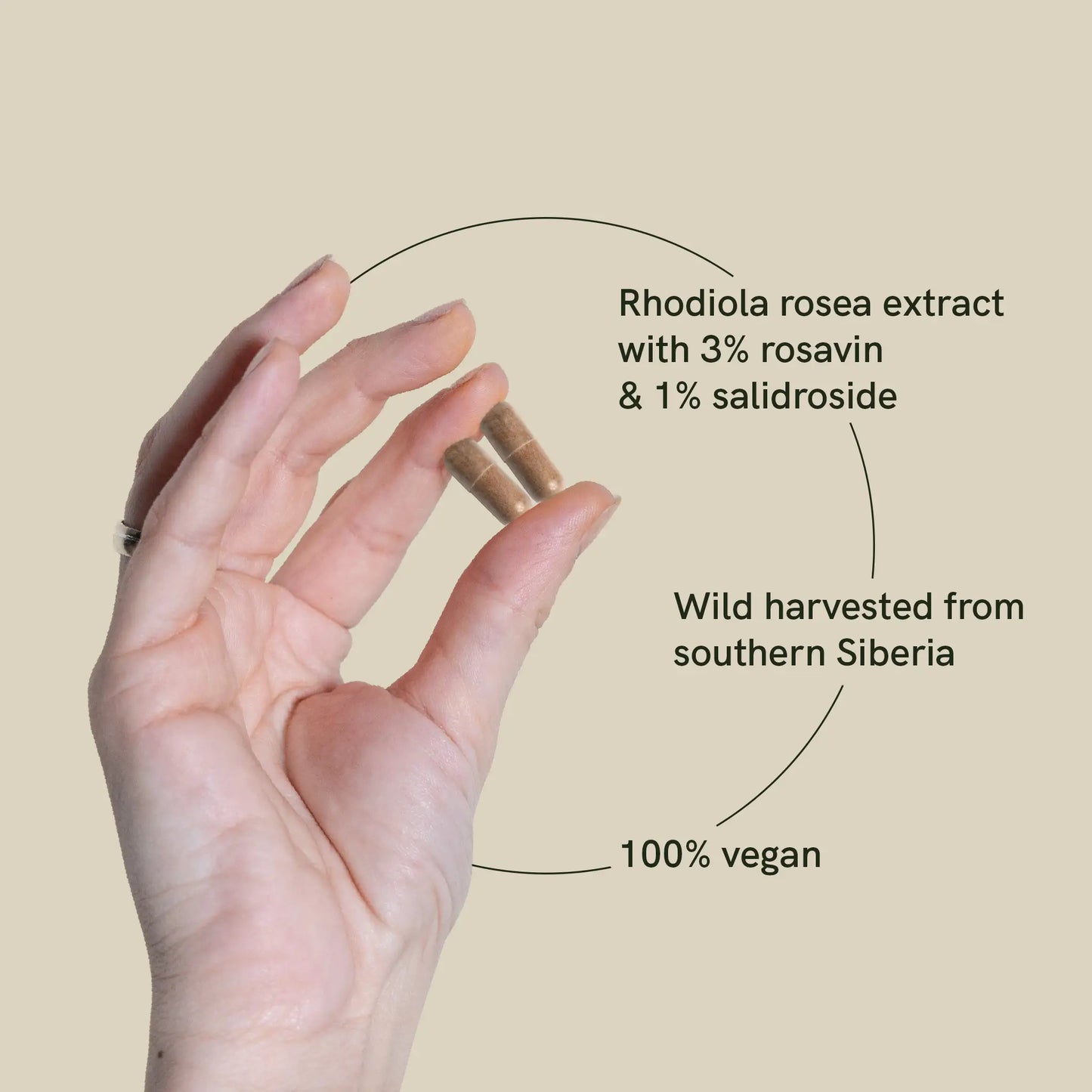 Rhodiola rosea capsules