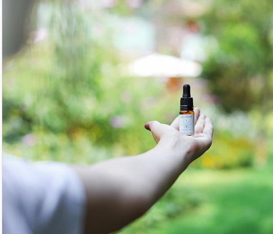 How to Take CBD Oil: Guide for Beginners