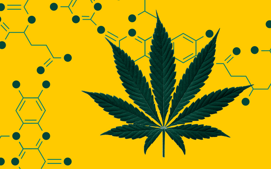 Cannabinoids: What are they and what do they do?