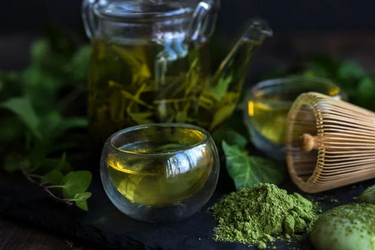 Moringa Tea: Benefits, Preparation, and Buying Tips