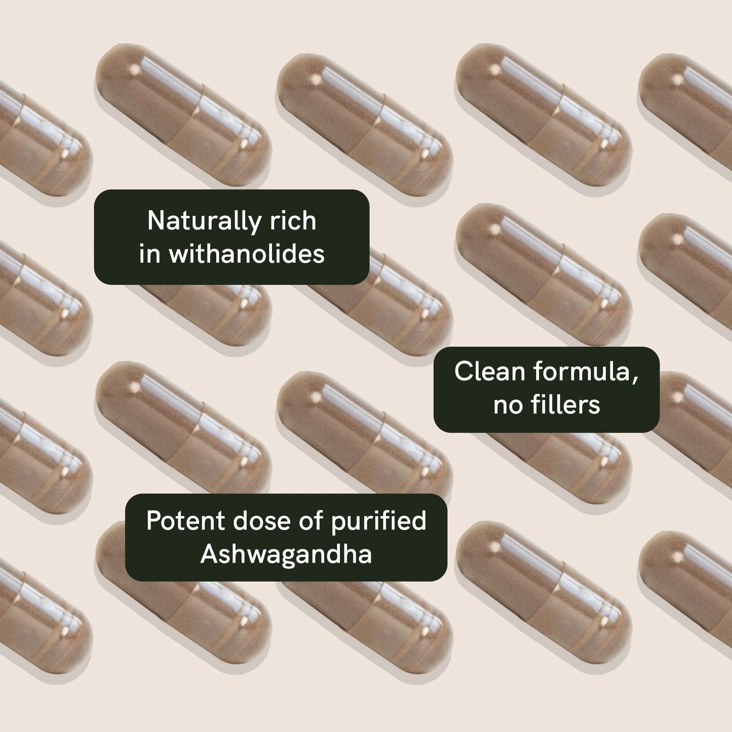 Ashwagandha Capsules