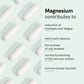 Magnesium complex
