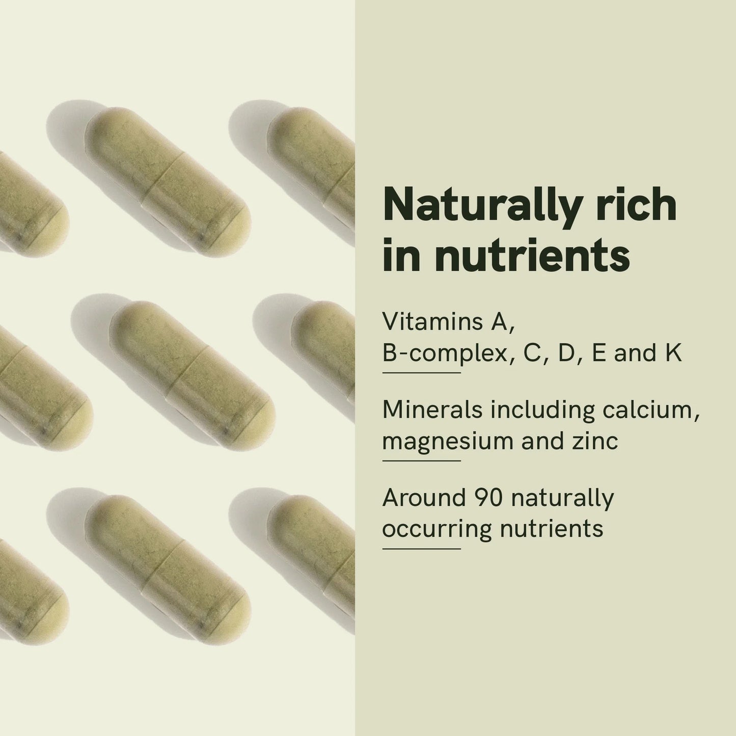 Moringa Powder Capsules