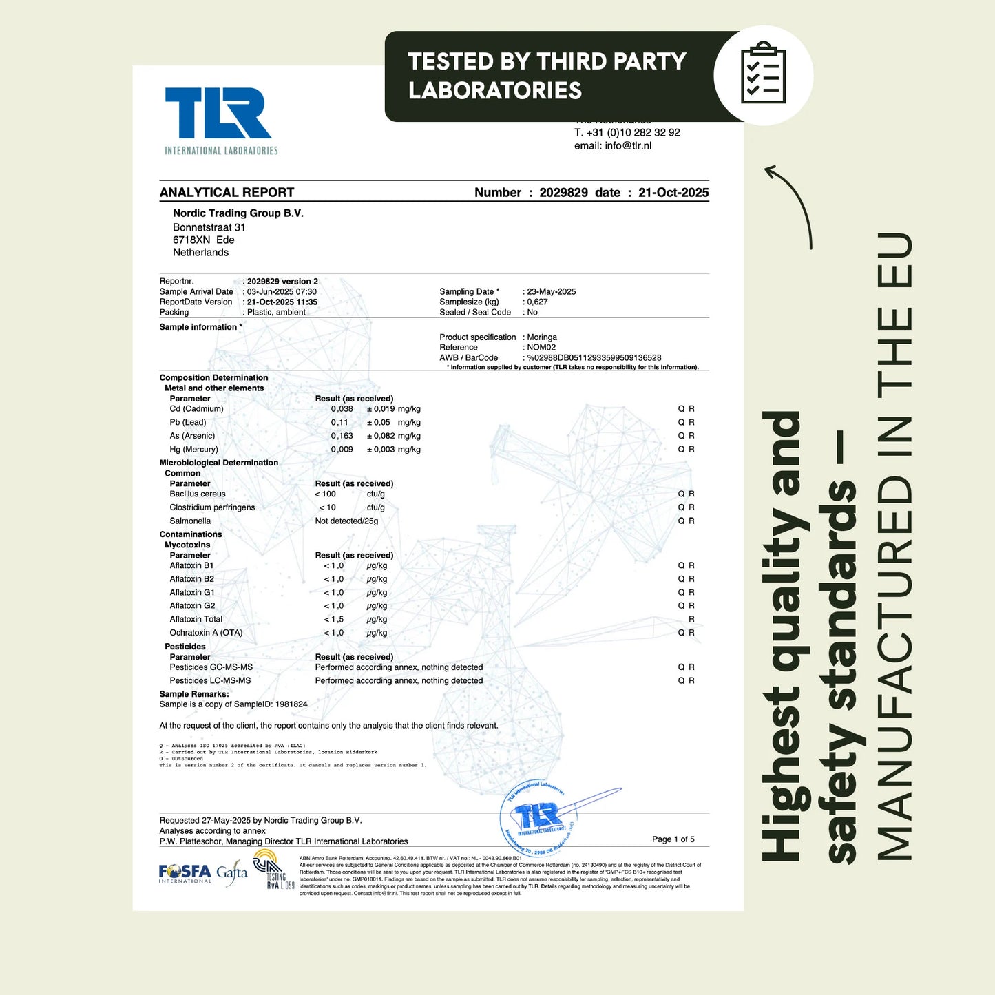 Moringa Powder Capsules