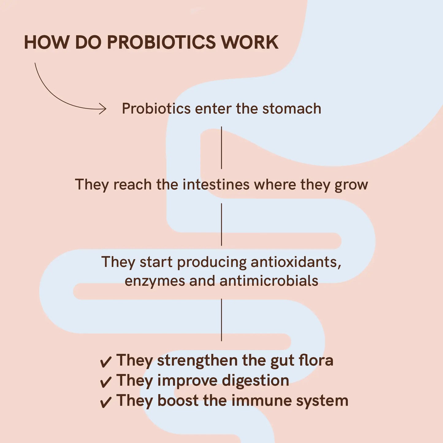 3FOR2 Probiotics