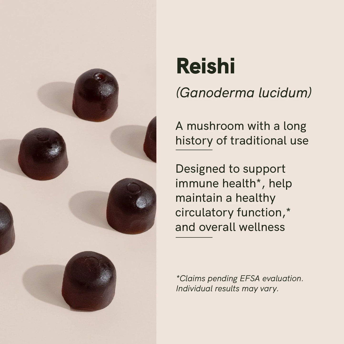 Reishi Mushroom Gummies
