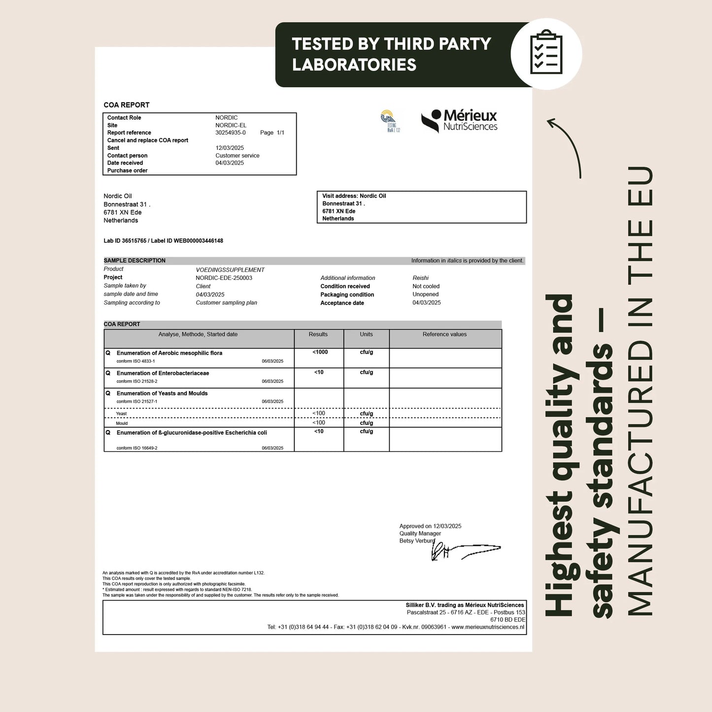 Reishi Mushroom Gummies