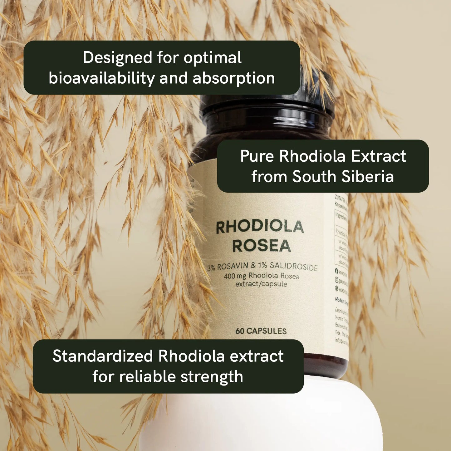 Rhodiola rosea capsules