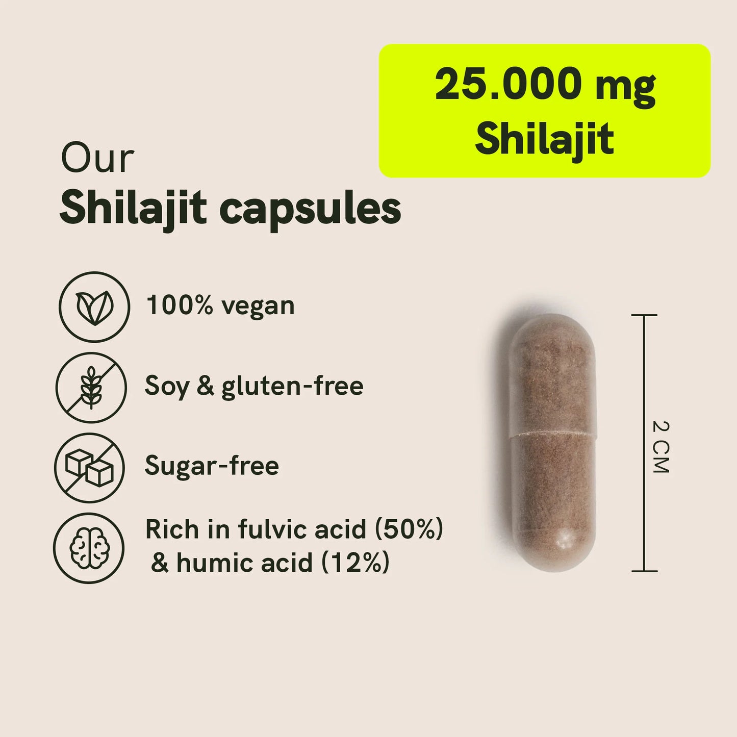 Shilajit Capsules