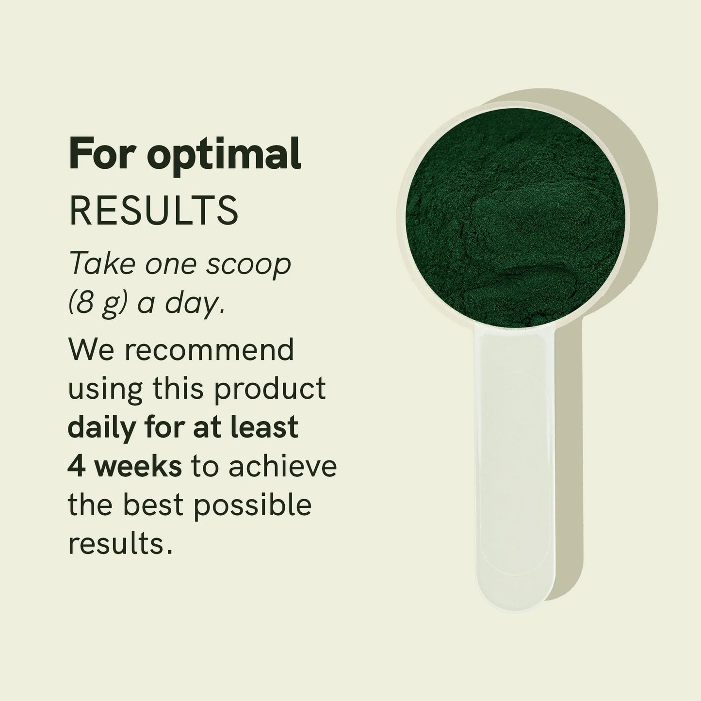 Spirulina Chlorella Powder